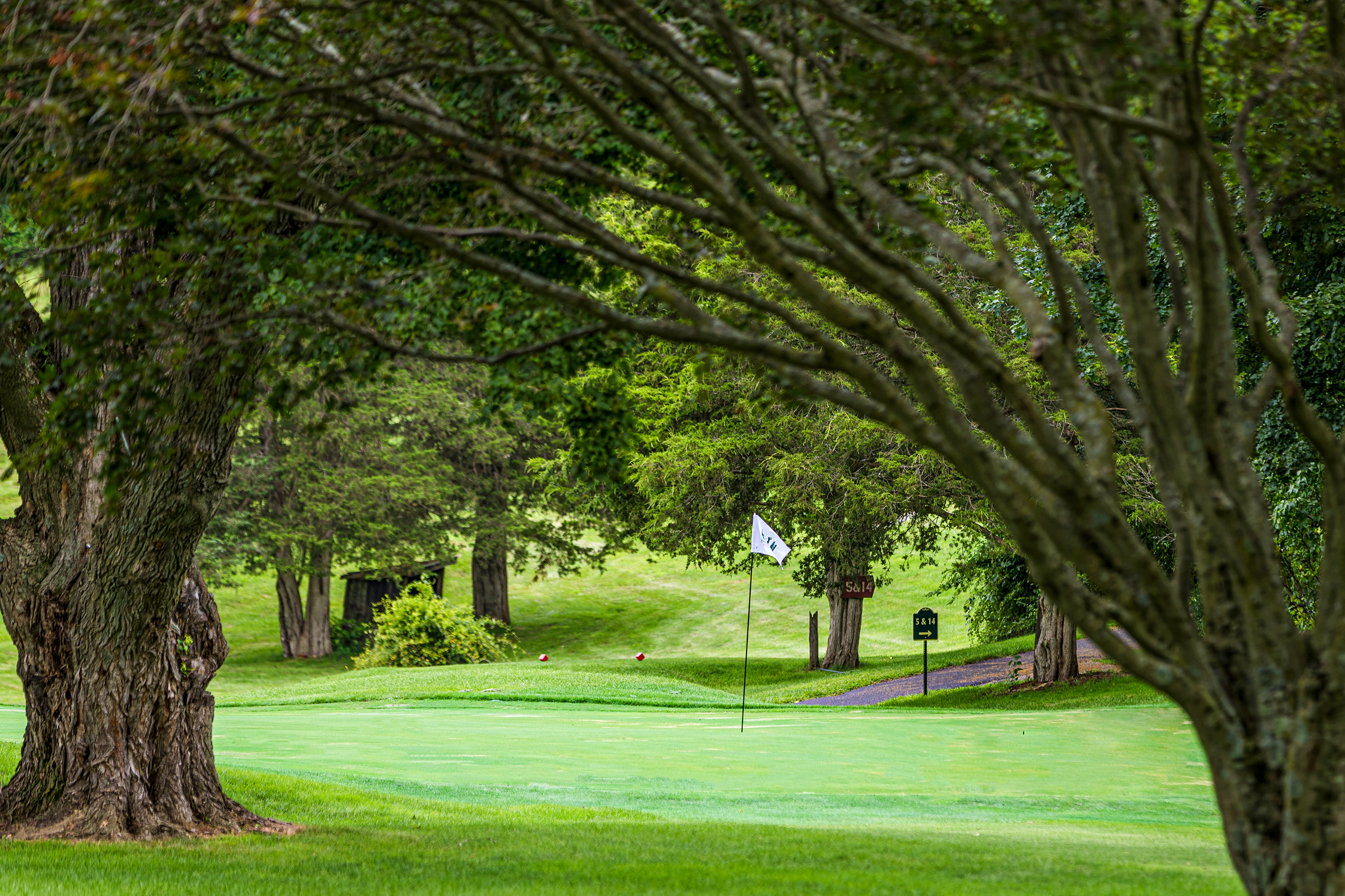 2024-05-30 DG Golf Sign2